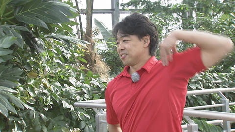 12月3日(土)から放送　第21回富山県中央植物園de体操してみた