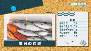 200125turi魚_釣果.jpg