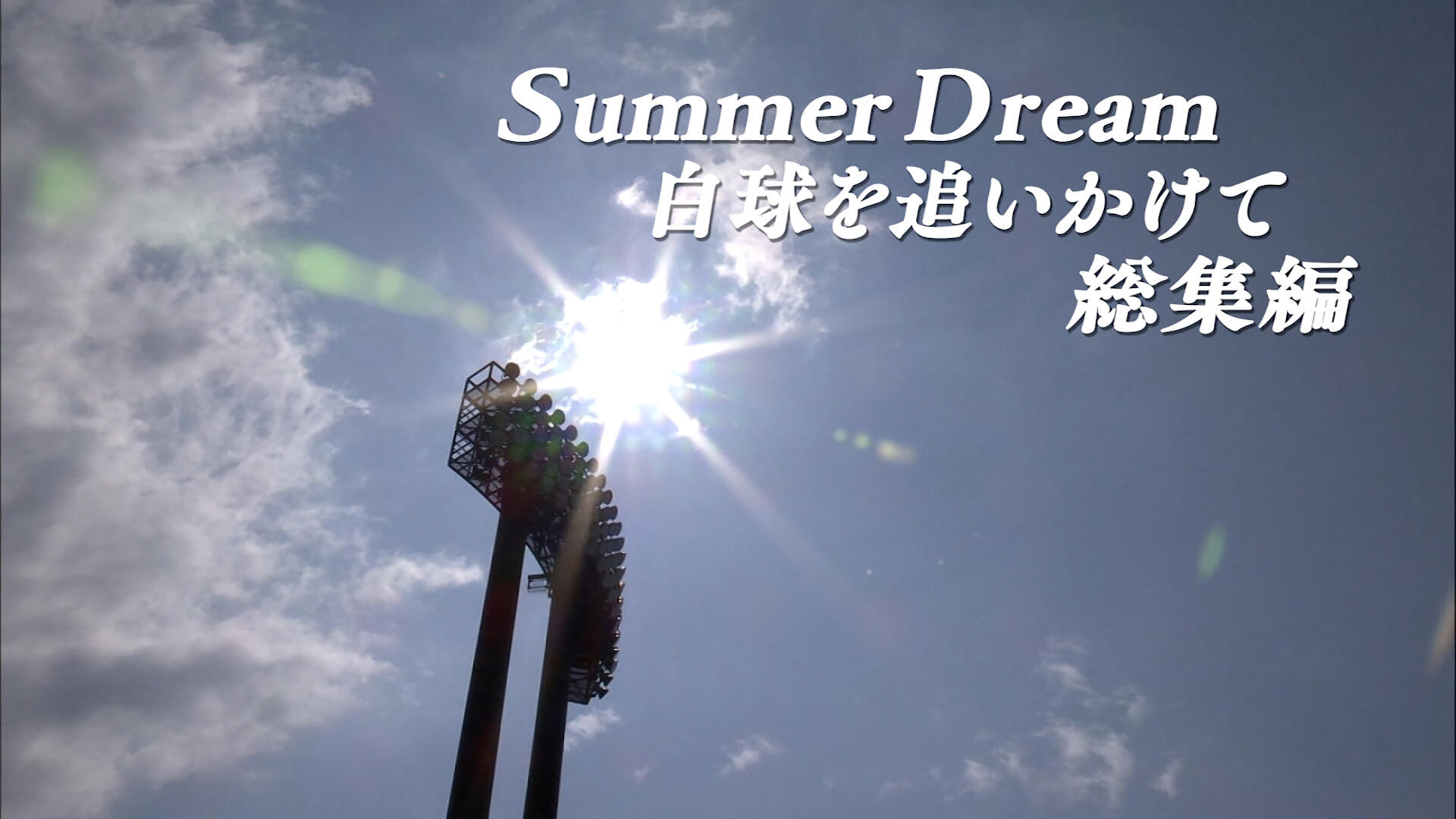 Summer Dream 白球を追いかけて