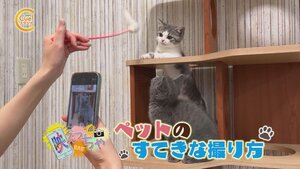 映えっちゃ.jpg