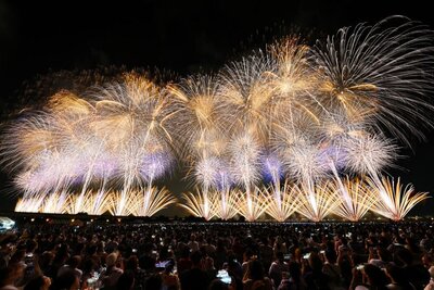 [送付用]02-19-3-2 復興祈願花火フェニックス.jpg