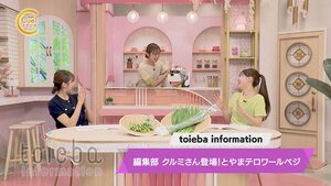 toieba information.jpg