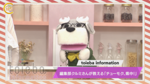 トイエバインフォメーション.png