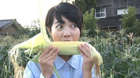 特別番組 2026.10月　特別番組
