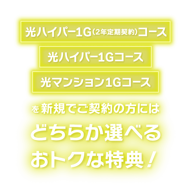 光ハイパー1G（2年定期契約コース）、光パイパー1Gコース、光マンション1Gコースを新規でご契約の方にはどちらか選べるおトクな特典！