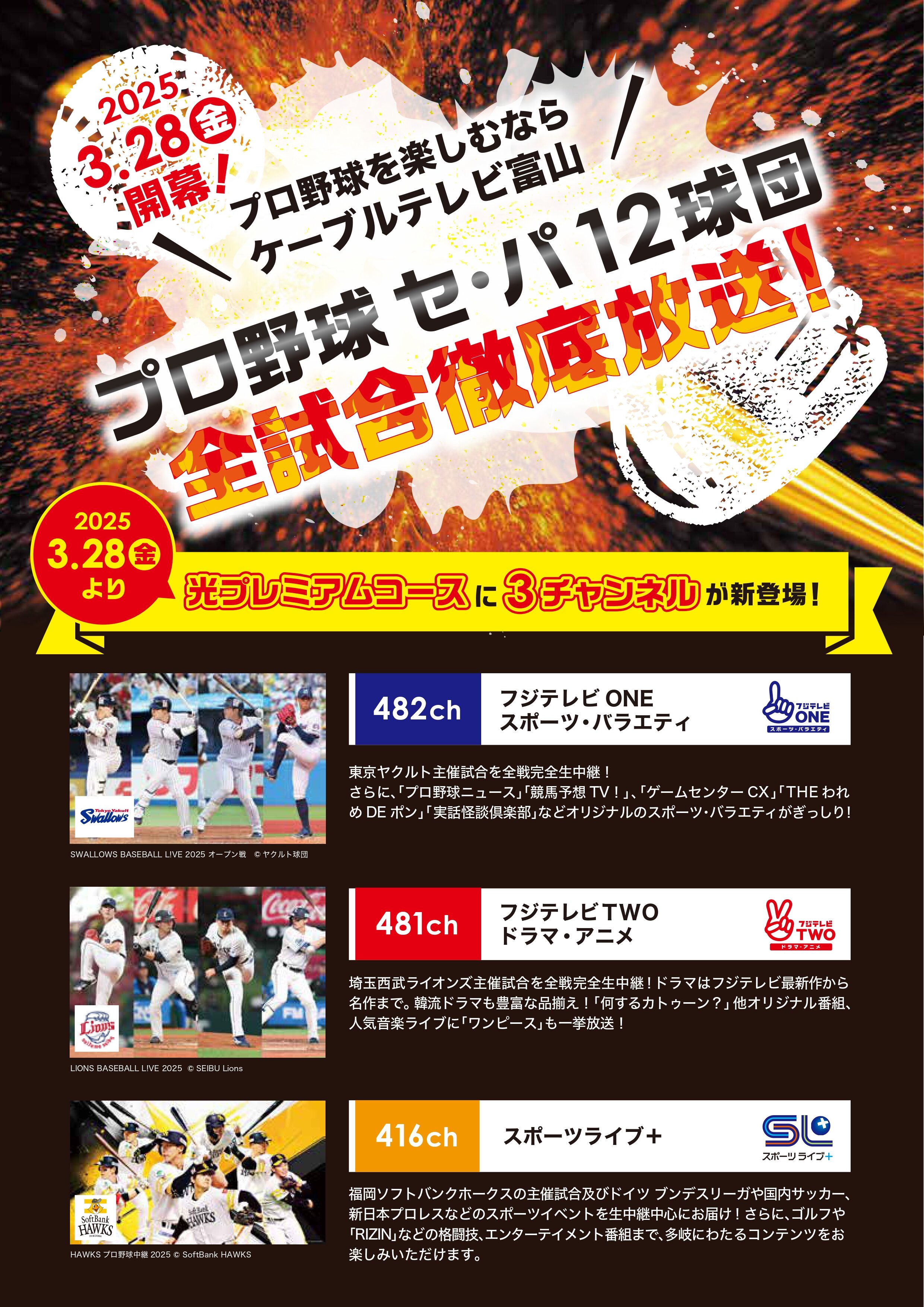 20250328新chプロ野球チラシ_page-0001.jpg
