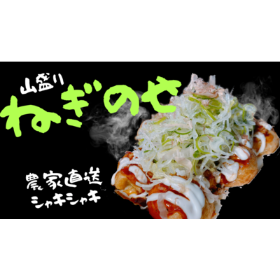 商品_ねぎのせ.png